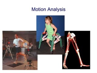 Motion Analysis 