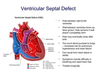 Add info from Gore website Ventricular Septal Defect Hole between right & left ventricles Wall between ventricles forms as fetus grows / hole remains if wall doesn’t completely form Hole may eventually close after birth Too much blood pumped to lungs – increased risk for pulmonary hypertension and heart failure Can result from heart attack in adults Symptoms include difficulty in breathing and rapid heart rate Treated surgically 