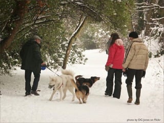 photo by DG Jones on Flickr
 