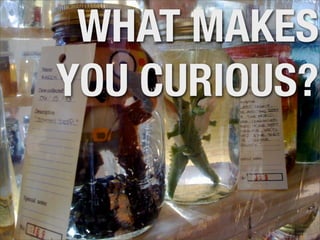 WHAT MAKES
YOU CURIOUS?
 