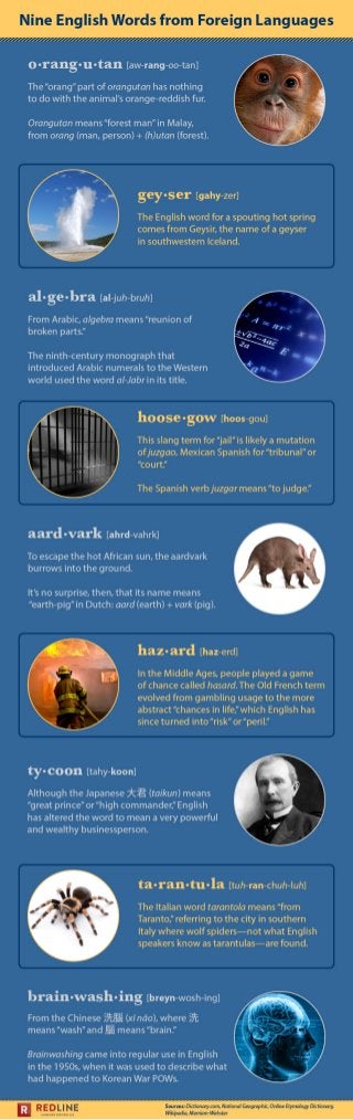 Infographic: 9 English words from foreign languages