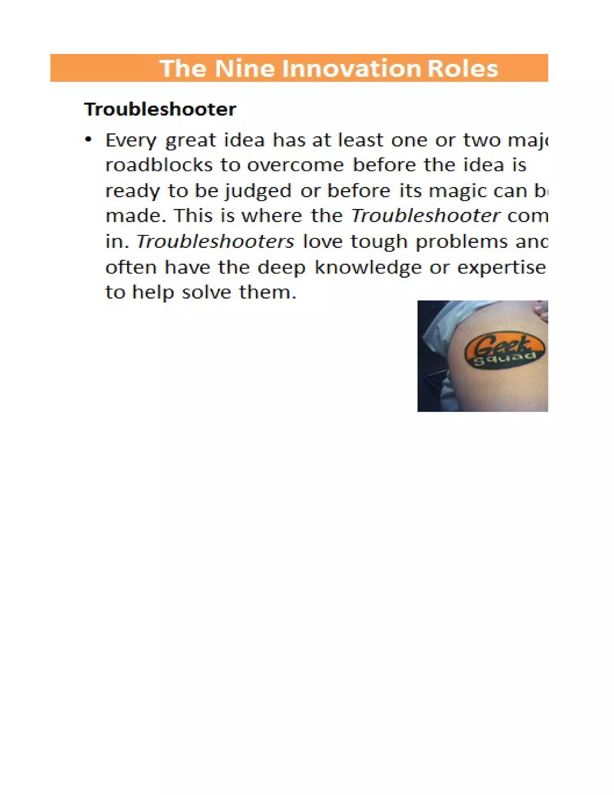 Nine Innovation Roles Worksheet