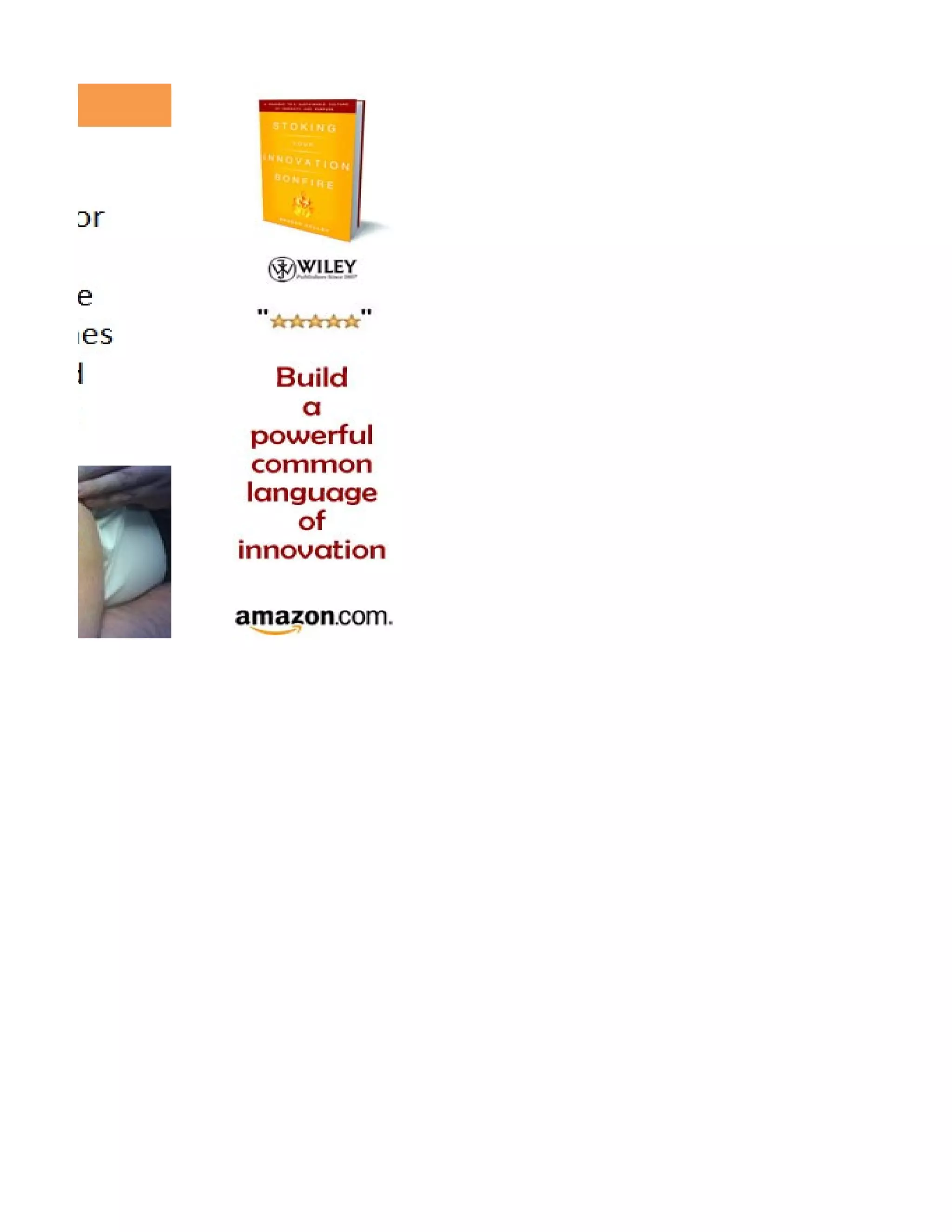 Nine Innovation Roles Worksheet