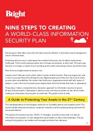 1
NINE STEPS TO CREATING
A WORLD-CLASS INFORMATION
SECURITY PLAN
Securing your data takes more than the latest security software. It also takes sound management
and an informed team.
Protecting what we own in cyberspace has evolved to become one of today’s top business
challenges. That’s mainly because assets are no longer just physical, as they were 150 years ago.
Security is no longer a matter of just rounding up the cattle and putting a fence around the herd.
Now, there are digital assets to protect, too.
Lawyers won’t help you much, either, when it comes to data security. They may argue your case
in court or pursue those who infringe on your digital property, but they can’t do much to shore
up your data vulnerabilities. No matter how thickly your organization pads itself with teams of
lawyers, it won’t do much to protect your digital assets from the threats that loom in cyberspace.
These days, it takes a comprehensive, disruptive approach to information security to secure
all your business assets. Cyberspace is about as vast a territory to protect as any, which makes
creating an information security plan no small task. This guide is here to help.
A Guide to Protecting Your Assets in the 21st
Century
The interdependence of technologies makes for an incredibly diverse and complex world. This
world includes telecommunications, computer networks, and the quickly-growing sub-world of
connected devices.
This guide is for business owners, CISO’s, IT managers, and others who seek to create an
information security plan. It’s also designed to give leaders an idea of the landscape. Only by
seeing the big picture can leaders and managers prioritize their decisions.
 
