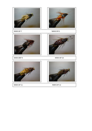 NINFA Nº 7    NINFA Nº 8




NINFA BNº 9       NINFA Nº 10




NINFA Nº 11   NINFA Nº 12
 