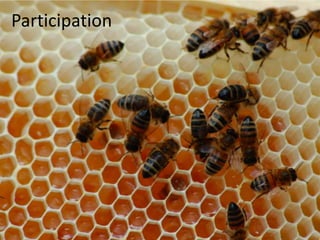 Participation