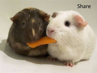 Share