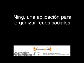 Ning, una aplicación para organizar redes sociales 