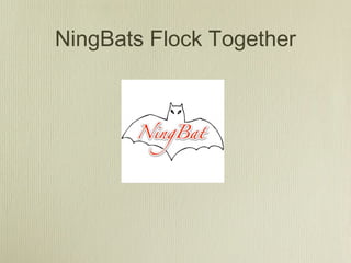 NingBats Flock Together
 