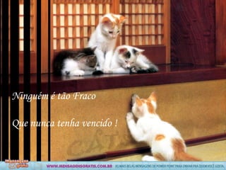 Ninguém é tão Fraco

Que nunca tenha vencido !
 