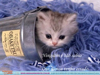 Ninguém é tão sabio

Que nunca tenha errado...
 