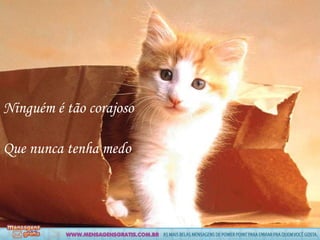 Ninguém é tão corajoso

Que nunca tenha medo
 