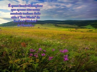 É quaseincrívelimaginarqueapenassetenotasmusicaistenham dado vida à “Ave Maria” de Bach e à “Aleluia” de Hendel...