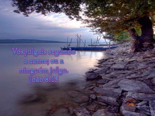 Vós julgais segundo a carne; eu a ninguém julgo. João 8:15 