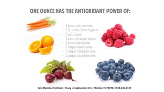 Cara Matocha, Distributor - Young Living Essential Oils / Member # 3108933 / 832.326.6467
 