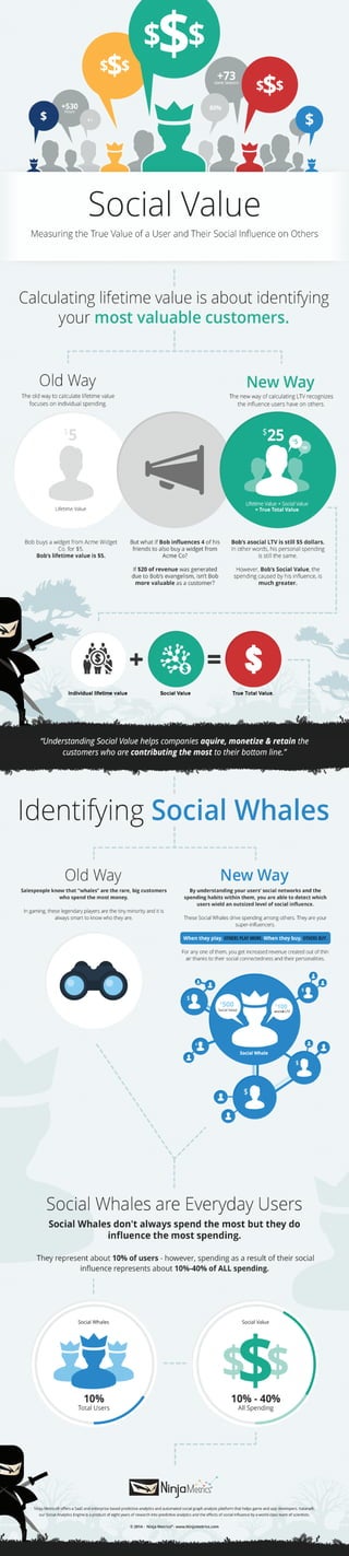 Ninja Metrics Social Value Infographic