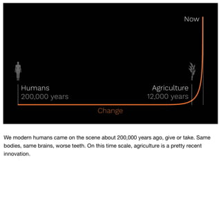 Ninjas & Knights - A Systems Perspective on Design Practice