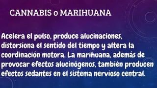 CANNABIS o MARIHUANA
Acelera el pulso, produce alucinaciones,
distorsiona el sentido del tiempo y altera la
coordinación motora. La marihuana, además de
provocar efectos alucinógenos, también producen
efectos sedantes en el sistema nervioso central.
 