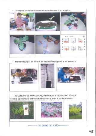 NIN QUITO, NIN POÑO