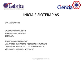 INICIA FISIOTERAPIAS
DRA ANDREA ORTIZ
VALORACION INICIAL 23/oct
SE PROGRAMAN 8 SESIONES
1 SEMANAL
SE ADICIONA AL TRATAMIENTO:
LATA A/D POR BAJO APETITO Y CONSUMO DE ALIMENTO
DESPARASITACION CON TOTAL F LC 3 DIAS SEGUIDOS
VACUNACION SEXTUPLE + NOBIVAC KC
 