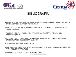 BIBLIOGRAFIA
Bidwell, P. (2014). OPCIONES ALIMENTICIAS SALUDABLES PARA LA PREVENCIÓN DE
ENFERMEDADES, GESTIÓN Y CURACIÓN.
FIDALGO, L. E., REJAS, J., RUIZ DE COPEGUI, R., & RAMOS, J. J. (2003).Patología
médica veterinaria.
NELSON, & COUTO. (NELSON-COUTO). MEDICINA INTERNA DE ANIMALES
PEQUEñOS (3 ed.).
-ETTINGER, & FELDMAN. (s.f.). TRATADO DE MEDICINA INTERNA VETERINARIA.
ENFERMEDADES DEL PERRO Y EL GATO.
- LLAVE NUTRICIONAL DE HILL´S 2011
- VADEMECUM ESPECIALIDADES VETERINARIAS HOLLIDAY , GRANDES SOLUCIONES
PARA PEQUEÑOS ANIMALES.
VADEMECUM VETNIL RECETE DE CAMPEONES.
 