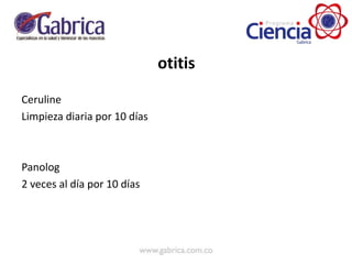 otitis
Ceruline
Limpieza diaria por 10 días
Panolog
2 veces al día por 10 días
 