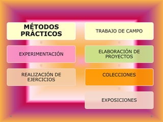 MÉTODOS
PRÁCTICOS

TRABAJO DE CAMPO

EXPERIMENTACIÓN

ELABORACIÓN DE
PROYECTOS

REALIZACIÓN DE
EJERCICIOS

COLECCIONES

EXPOSICIONES

 