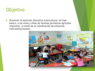 Objetivo
 Promover la atención educativa intercultural, de tipo
básico, a las niñas y niños de familias jornaleras agrícolas
migrantes, a través de la coordinación de esfuerzos
interinstitucionales.
 
