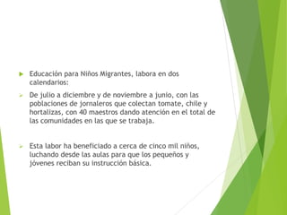  Educación para Niños Migrantes, labora en dos
calendarios:
 De julio a diciembre y de noviembre a junio, con las
poblaciones de jornaleros que colectan tomate, chile y
hortalizas, con 40 maestros dando atención en el total de
las comunidades en las que se trabaja.
 Esta labor ha beneficiado a cerca de cinco mil niños,
luchando desde las aulas para que los pequeños y
jóvenes reciban su instrucción básica.
 