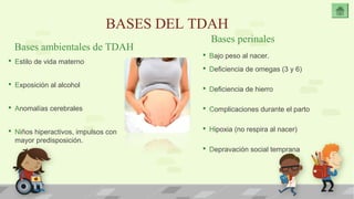 BASES DEL TDAH 
Bases ambientales de TDAH 
 Estilo de vida materno 
 Exposición al alcohol 
 Anomalías cerebrales 
 Niños hiperactivos, impulsos con 
mayor predisposición. 
Bases perinales 
 Bajo peso al nacer. 
 Deficiencia de omegas (3 y 6) 
 Deficiencia de hierro 
 Complicaciones durante el parto 
 Hipoxia (no respira al nacer) 
 Depravación social temprana 
 
