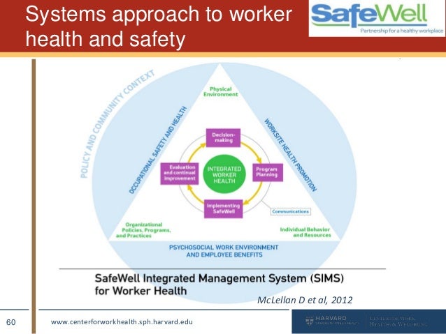 charting the path to total worker health a practitioners guide to sims charting