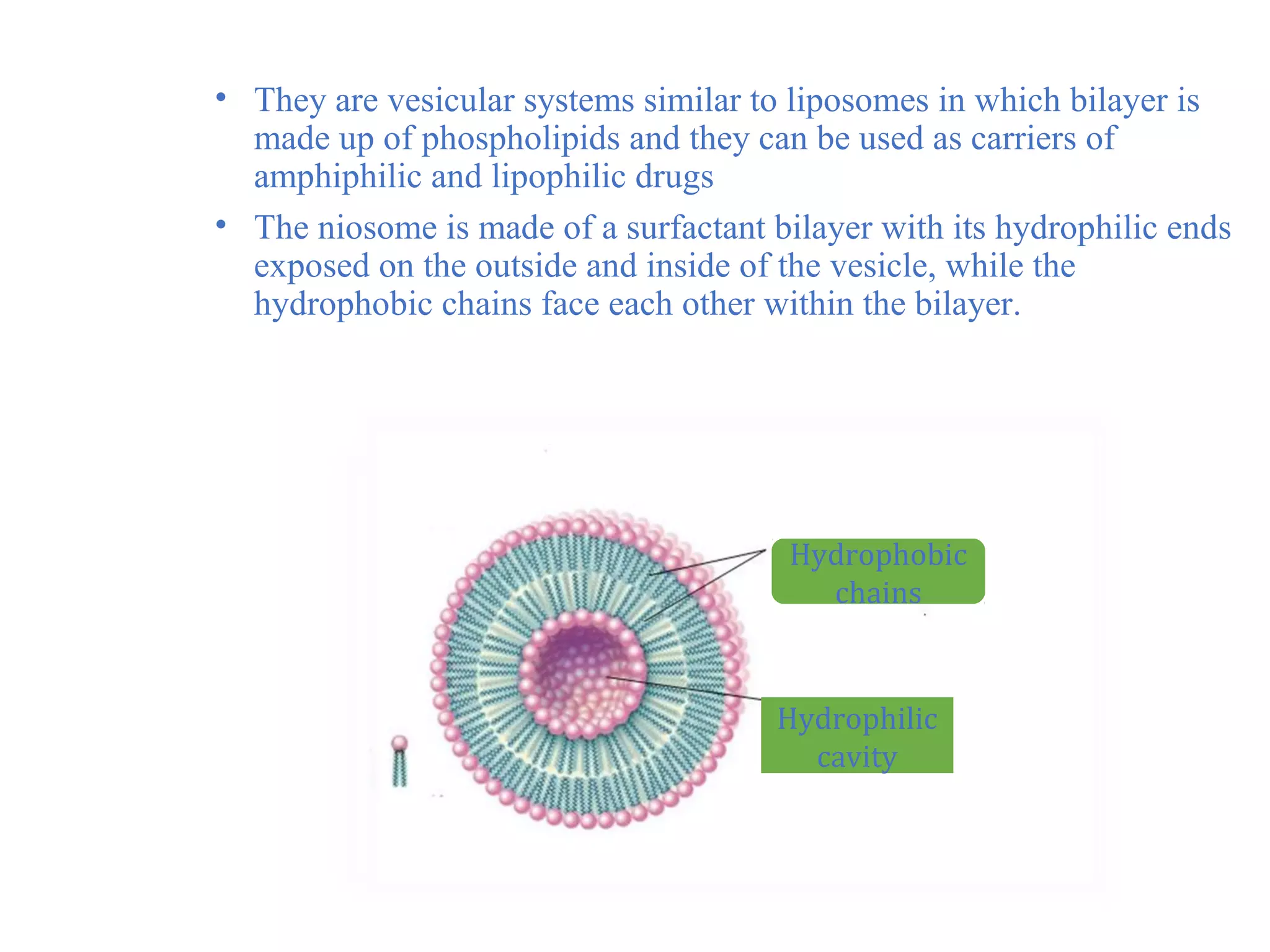 • They are vesicular systems similar to liposomes in which bilayer is 
made up of phospholipids and they can be used as carriers of 
amphiphilic and lipophilic drugs 
• The niosome is made of a surfactant bilayer with its hydrophilic ends 
exposed on the outside and inside of the vesicle, while the 
hydrophobic chains face each other within the bilayer. 
Hydrophobic 
chains 
Hydrophilic 
cavity 
 