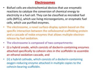 Electrosomes
• Biofuel cells are electrochemical devices that use enzymatic
reactions to catalyze the conversion of chemical energy to
electricity in a fuel cell. They can be classified as microbial fuel
cells (MFCs), which use living microorganisms, or enzymatic fuel
cells, which use purified enzymes.
• The electrosome, a novel surface-display system based on the
specific interaction between the cellulosomal scaffolding protein
and a cascade of redox enzymes that allows multiple electron-
release by fuel oxidation.
• The electrosome is composed of two compartments:
• (i) a hybrid anode, which consists of dockerin-containing enzymes
attached specifically to cohesin sites in the scaffoldin to assemble
an ethanol oxidation cascade, and
• (ii) a hybrid cathode, which consists of a dockerin-containing
oxygen-reducing enzyme attached in multiple copies to the
cohesin-bearing scaffoldin.
 
