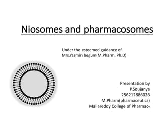 Niosomes and pharmacosomes 
Under the esteemed guidance of 
Mrs.Yasmin begum(M.Pharm, Ph.D) 
Presentation by 
P.Soujanya 
256212886026 
M.Pharm(pharmaceutics) 
Mallareddy College of Pharmacy 
 