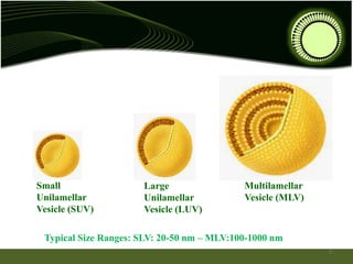 Small
Unilamellar
Vesicle (SUV)
Large
Unilamellar
Vesicle (LUV)
Multilamellar
Vesicle (MLV)
Typical Size Ranges: SLV: 20-50 nm – MLV:100-1000 nm
7
 