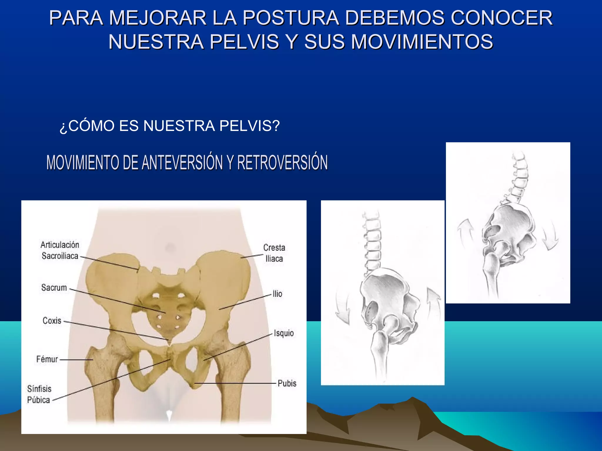 PARA MEJORAR LA POSTURA DEBEMOS CONOCERPARA MEJORAR LA POSTURA DEBEMOS CONOCER
NUESTRA PELVIS Y SUS MOVIMIENTOSNUESTRA PELVIS Y SUS MOVIMIENTOS
¿CÓMO ES NUESTRA PELVIS?
 