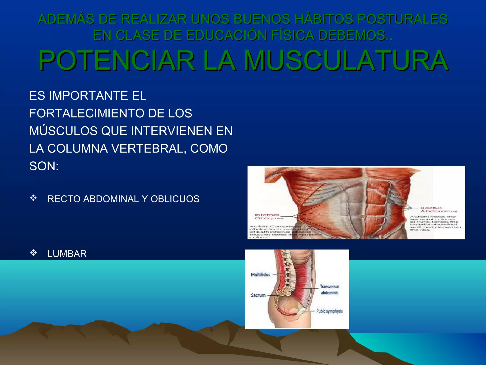 ADEMÁS DE REALIZAR UNOS BUENOS HÁBITOS POSTURALESADEMÁS DE REALIZAR UNOS BUENOS HÁBITOS POSTURALES
EN CLASE DE EDUCACIÓN FÍSICA DEBEMOS..EN CLASE DE EDUCACIÓN FÍSICA DEBEMOS..
POTENCIAR LA MUSCULATURAPOTENCIAR LA MUSCULATURA
ES IMPORTANTE EL
FORTALECIMIENTO DE LOS
MÚSCULOS QUE INTERVIENEN EN
LA COLUMNA VERTEBRAL, COMO
SON:
 RECTO ABDOMINAL Y OBLICUOS
 LUMBAR
 