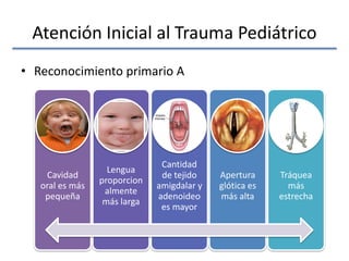 Atención Inicial al Trauma Pediátrico
• Reconocimiento primario A
Cavidad
oral es más
pequeña
Lengua
proporcion
almente
más larga
Cantidad
de tejido
amigdalar y
adenoideo
es mayor
Apertura
glótica es
más alta
Tráquea
más
estrecha
 