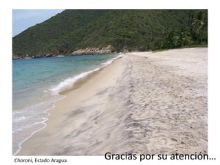 Gracias por su atención…Choroni, Estado Aragua.
 