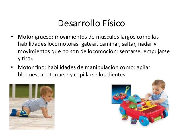 Etapas Del Desarrollo Fisico Y Motor En Los Ninos – eroppa