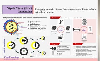 Emerging zoonotic disease that causes severe illness in both
animal and human
Cloud learnings
Imagination Empowers
Nipah Virus (NiV)
Introduction
1
Six key protein plays an important role in making of virulent characteristics of
virus1
 Nucelocapsid protein
 Phosphoproteins
 polymerase protein
 Fusion protein: Bounds extremely to
EFNB2 & EFB3 surface protein
 Other protein C,V & W are also
present but unknown function
ModeofTransmission2
The incubation period ranged from 7 to 40 days
Fever
Headache
Myalgia
Nausea and
Vomiting
10
Symp.,
Host and amplifier
Host
Meningitis
Photophobia
Respiratory
problems
Coma
20
Symp.,
Symptoms:
Diagnosis:
Imaging techniques:
 Neuroimaging (MRI)
 Electroencephalogram
Serological test:
 ELISA
 PCR
Treatment:
 No antiviral therapy or vaccine are available
 Supportive care is the mainstay of treatment
(intensive care monitoring)
 Mechanical ventilation for airway protection
should be initiated with the onset of
neurologic deterioration
 Ribavirin was experimented during
Malaysian outbreak
 