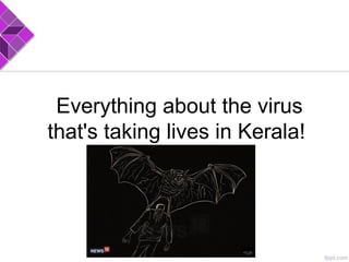 Everything about the virus
that's taking lives in Kerala!
 