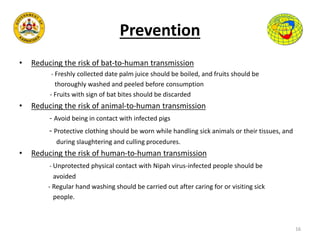 Prevention
• Reducing the risk of bat-to-human transmission
- Freshly collected date palm juice should be boiled, and fruits should be
thoroughly washed and peeled before consumption
- Fruits with sign of bat bites should be discarded
• Reducing the risk of animal-to-human transmission
- Avoid being in contact with infected pigs
- Protective clothing should be worn while handling sick animals or their tissues, and
during slaughtering and culling procedures.
• Reducing the risk of human-to-human transmission
- Unprotected physical contact with Nipah virus-infected people should be
avoided
- Regular hand washing should be carried out after caring for or visiting sick
people.
16
 