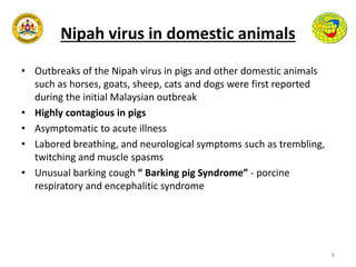 Nipah virus in domestic animals
• Outbreaks of the Nipah virus in pigs and other domestic animals
such as horses, goats, sheep, cats and dogs were first reported
during the initial Malaysian outbreak
• Highly contagious in pigs
• Asymptomatic to acute illness
• Labored breathing, and neurological symptoms such as trembling,
twitching and muscle spasms
• Unusual barking cough “ Barking pig Syndrome” - porcine
respiratory and encephalitic syndrome
8
 