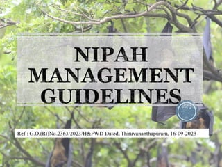 NIPAH
MANAGEMENT
GUIDELINES
Ref : G.O.(Rt)No.2363/2023/H&FWD Dated, Thiruvananthapuram, 16-09-2023
 