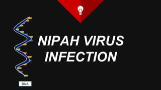NIPAH VIRUS
INFECTION
RNA
 