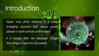 Introduction
• Nipah virus (NiV) infection is a newly
emerging zoonosis that causes severe
disease in both animals and hum...