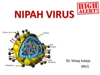 NIPAH VIRUS
Dr. Vinay tuteja
MU1
 
