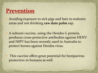  Avoiding exposure to sick pigs and bats in endemic
areas and not drinking raw date palm sap.
 A subunit vaccine, using ...