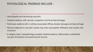PATHOLOGICAL FINDINGS INCLUDE :
• Vasculopathy and necrotizing vasculitis
• Cerebral oedema, with vascular congestion and focal haemorrhages.
• Pulmonary oedema with or without associated diffuse alveolar damage and haemorrhage.
• Neurons adjacent to vasculitic vessels may show eosinophilic infiltration and nuclear viral
inclusions.
• In relapse cases, histopathology revealed cerebral oedema, inflammation, endothelial
syncytia, thrombosis and parenchymal necrosis.
 